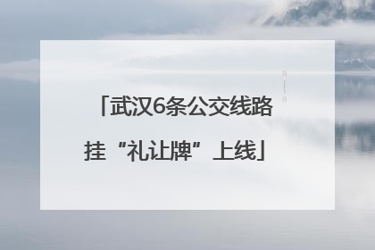 武汉6条公交线路挂“礼让牌”上线