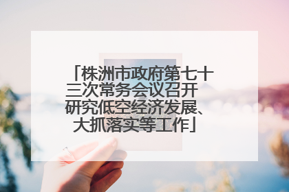 株洲市政府第七十三次常务会议召开 研究低空经济发展、大抓落实等工作