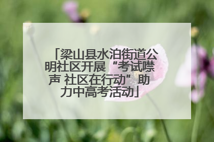 梁山县水泊街道公明社区开展“考试噤声 社区在行动”助力中高考活动
