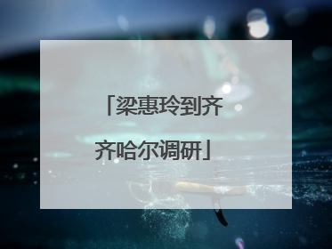 梁惠玲到齐齐哈尔调研