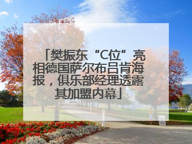 樊振东“C位”亮相德国萨尔布吕肯海报，俱乐部经理透露其加盟内幕