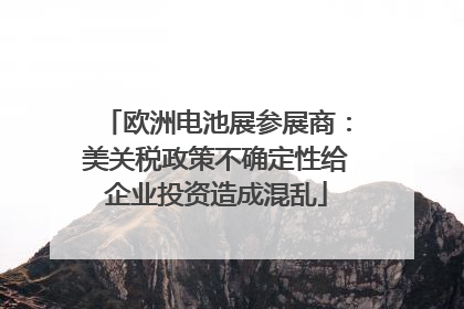 欧洲电池展参展商：美关税政策不确定性给企业投资造成混乱
