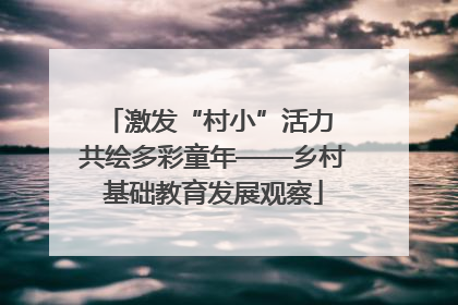 激发“村小”活力 共绘多彩童年——乡村基础教育发展观察