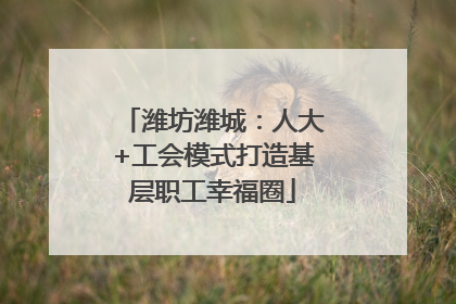 潍坊潍城：人大+工会模式打造基层职工幸福圈