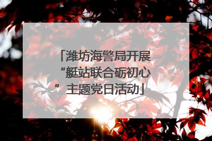 潍坊海警局开展“艇站联合砺初心”主题党日活动