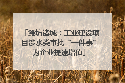 潍坊诸城：工业建设项目涉水类审批“一件事” 为企业提速增值