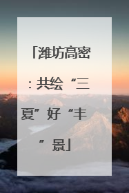 潍坊高密：共绘“三夏”好“丰”景