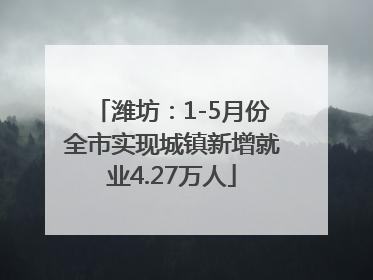 潍坊：1-5月份全市实现城镇新增就业4.27万人