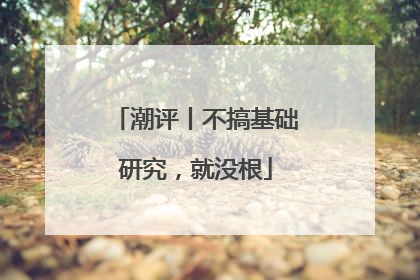 潮评丨不搞基础研究，就没根