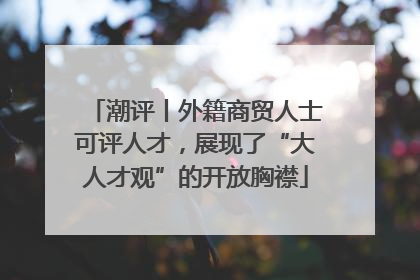 潮评丨外籍商贸人士可评人才，展现了“大人才观”的开放胸襟