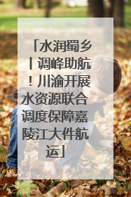 水润蜀乡丨调峰助航！川渝开展水资源联合调度保障嘉陵江大件航运