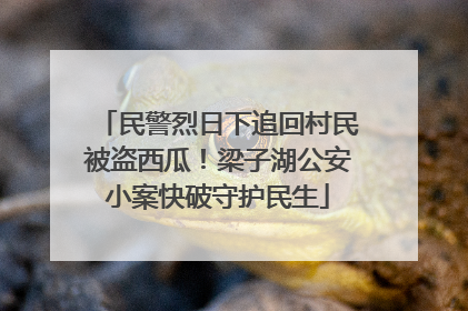 民警烈日下追回村民被盗西瓜！梁子湖公安小案快破守护民生