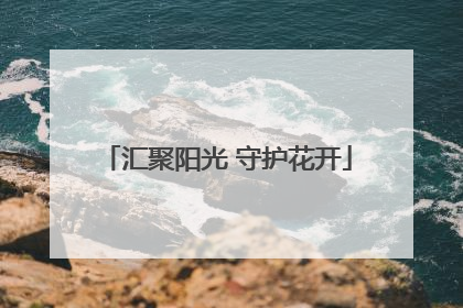 汇聚阳光 守护花开