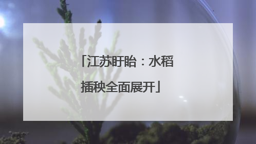 江苏盱眙：水稻插秧全面展开