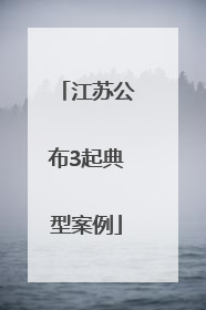 江苏公布3起典型案例