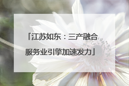 江苏如东：三产融合 服务业引擎加速发力