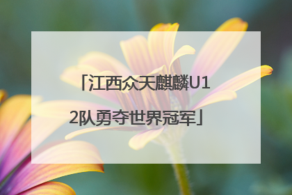 江西众天麒麟U12队勇夺世界冠军