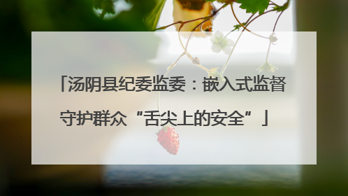 汤阴县纪委监委：嵌入式监督守护群众“舌尖上的安全”