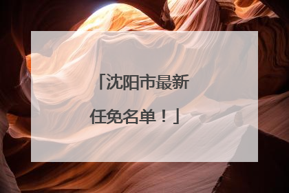 沈阳市最新任免名单！