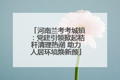 河南兰考考城镇：党建引领掀起秸秆清理热潮 助力人居环境焕新颜