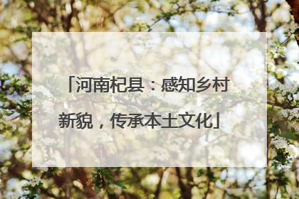河南杞县：感知乡村新貌，传承本土文化