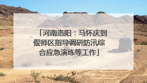 河南洛阳：马怀庆到偃师区指导调研防汛综合应急演练等工作