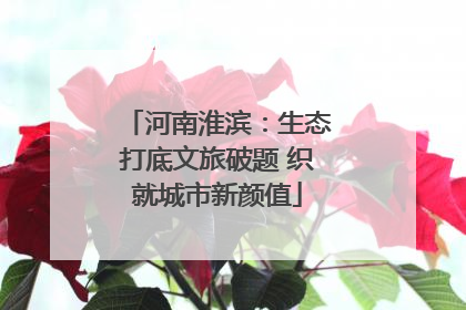 河南淮滨：生态打底文旅破题 织就城市新颜值