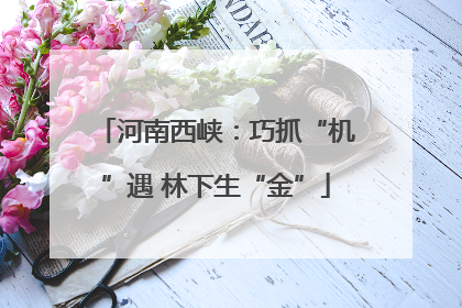 河南西峡：巧抓“机”遇 林下生“金”