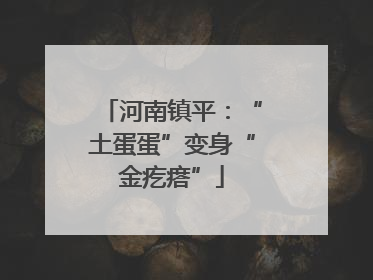 河南镇平：“土蛋蛋”变身“金疙瘩”