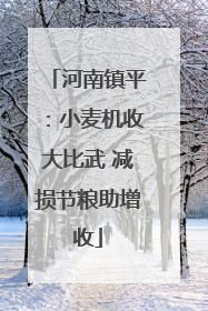 河南镇平：小麦机收大比武 减损节粮助增收