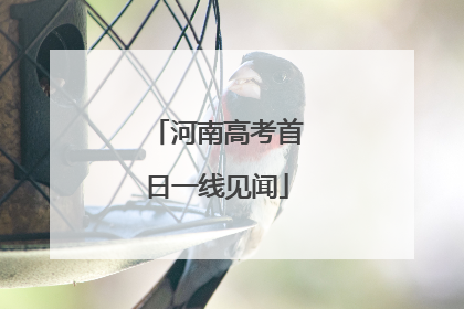 河南高考首日一线见闻