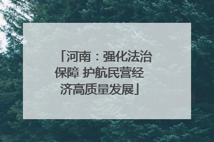 河南：强化法治保障 护航民营经济高质量发展