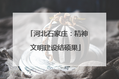 河北石家庄：精神文明建设结硕果