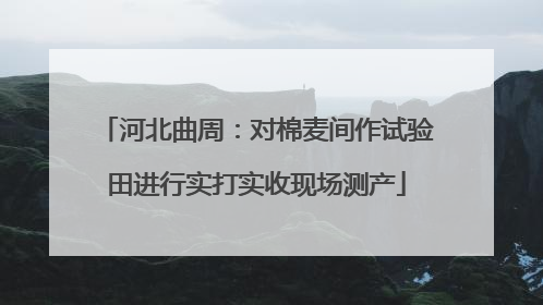 河北曲周：对棉麦间作试验田进行实打实收现场测产