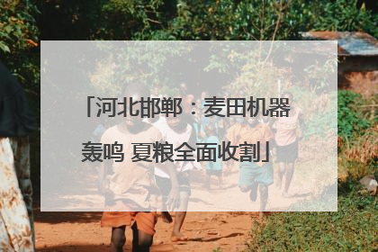 河北邯郸：麦田机器轰鸣 夏粮全面收割