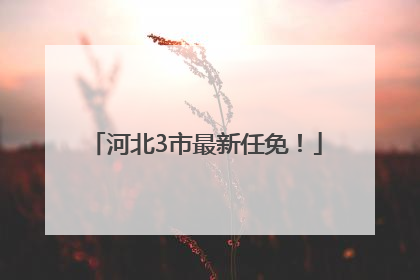 河北3市最新任免！