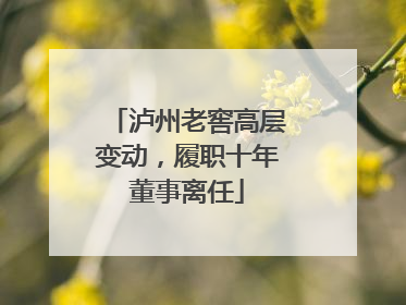 泸州老窖高层变动，履职十年董事离任