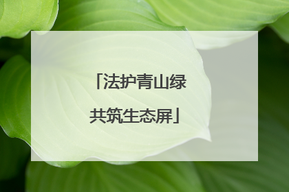 法护青山绿 共筑生态屏