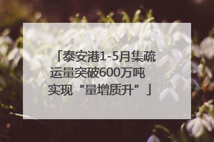 泰安港1-5月集疏运量突破600万吨 实现“量增质升”