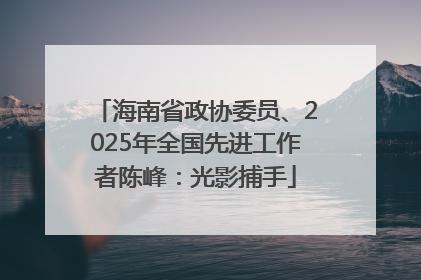 海南省政协委员、2025年全国先进工作者陈峰：光影捕手