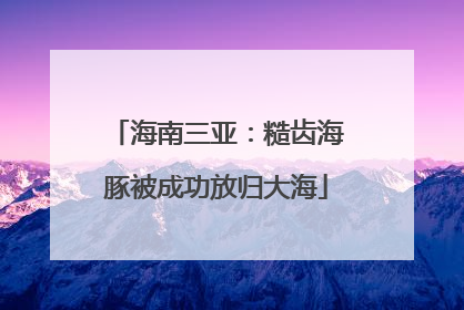 海南三亚：糙齿海豚被成功放归大海