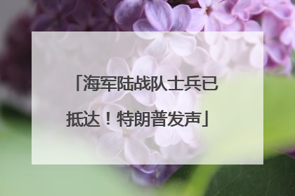 海军陆战队士兵已抵达！特朗普发声
