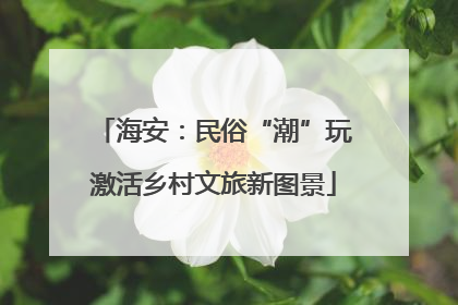 海安：民俗“潮”玩激活乡村文旅新图景