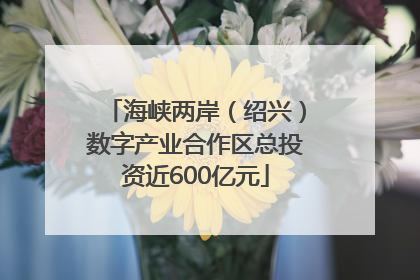 海峡两岸（绍兴）数字产业合作区总投资近600亿元