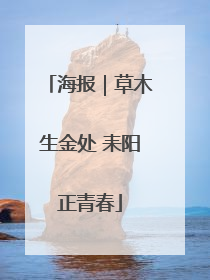 海报｜草木生金处 耒阳正青春
