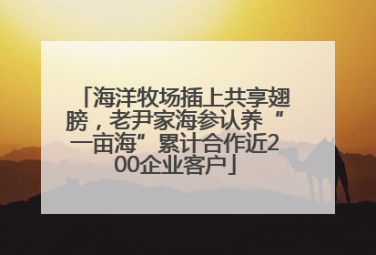 海洋牧场插上共享翅膀，老尹家海参认养“一亩海”累计合作近200企业客户