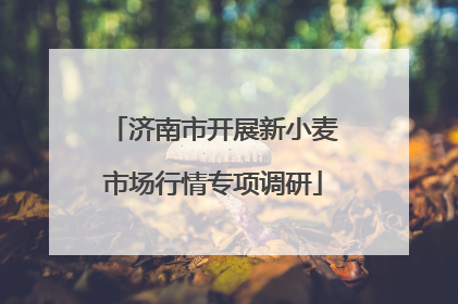 济南市开展新小麦市场行情专项调研
