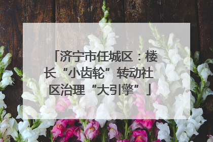 济宁市任城区：楼长“小齿轮”转动社区治理“大引擎”