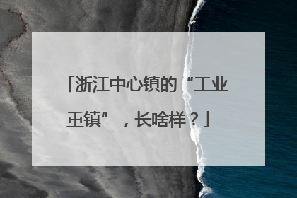 浙江中心镇的“工业重镇”，长啥样？