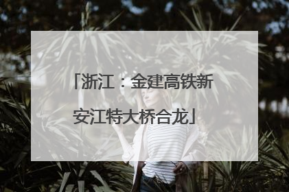 浙江：金建高铁新安江特大桥合龙